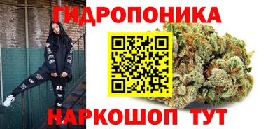 прущая мука Кимры