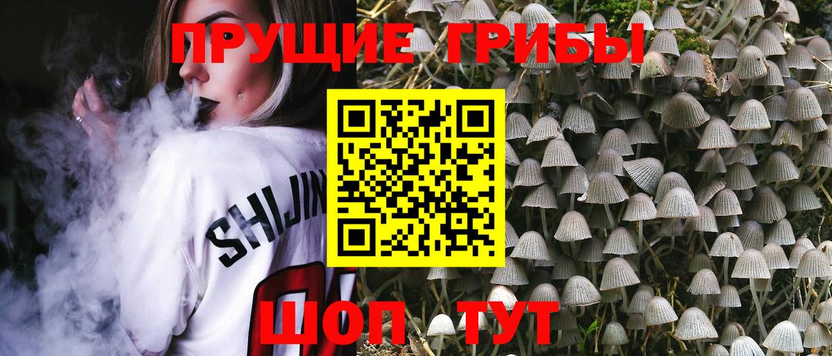Галлюциногенные грибы прущие грибы  Вход с VPN  Галлюциногенные грибы MAGIC MUSHROOMS  Шадринск 